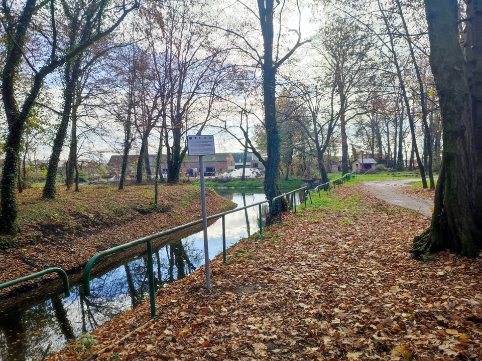 Renowacja dużego i małego zbiornika wodnego w parku w Pakosławiu