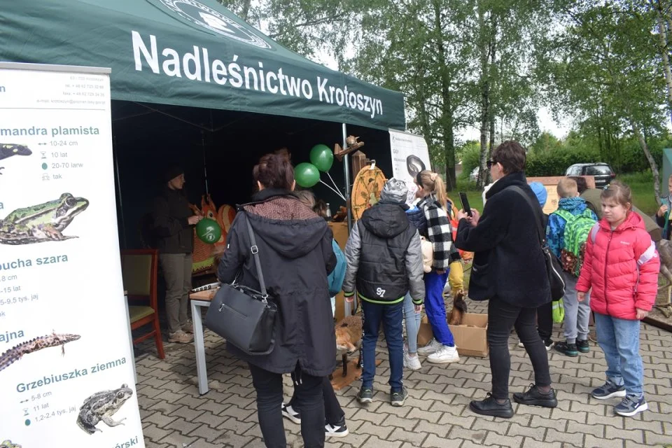 Piknik ekologiczny w Krotoszynie