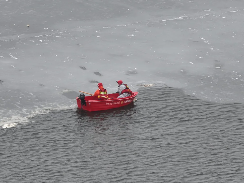 Ptasia grypa atakuje łabędzie w Jutrosinie. Kolejne 25 trucheł wyłowiono ze zbiornika - Zdjęcie główne