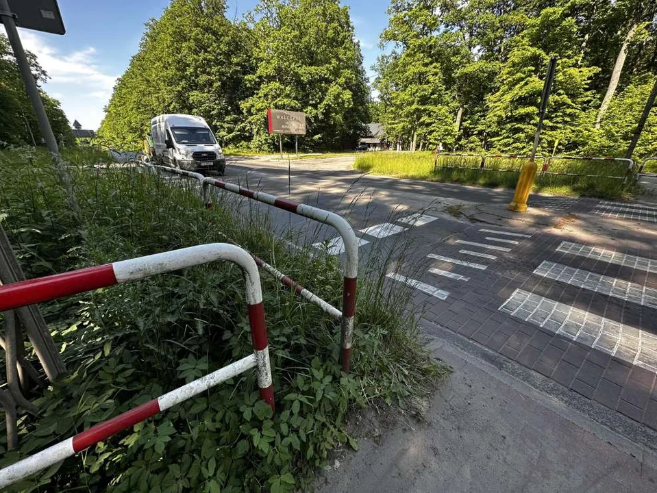 Zarośnięte pobocza przy drogach w powiecie jarocińskim