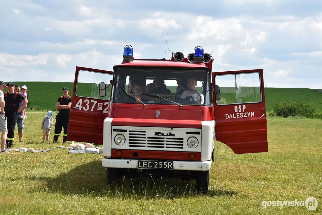 Piknik Rodzinny w Daleszynie (gm. Gostyń)