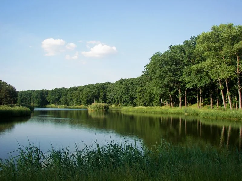 Rodzinny spacer wśród drzew i sadzonka do domu. OKL zaprasza do wspólnego świętowania Międzynarodowego Dnia Lasów