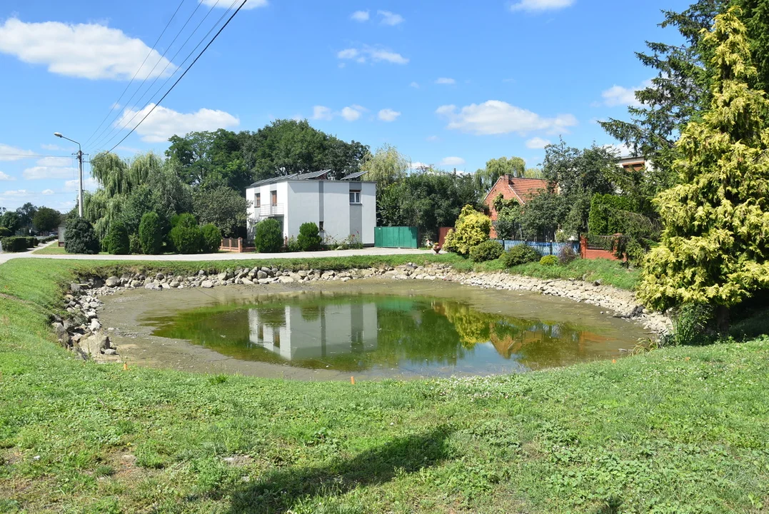 Rewitalizacja stawów w Strzelcach Wielkich i Strzelcach Małych