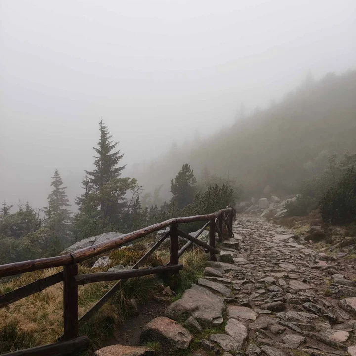 Nocna wyprawa na Śnieżkę - mieszkańcy Gostynia, Borku i okolic z Przyjacielską Grupą Biegową Leśne Dziki