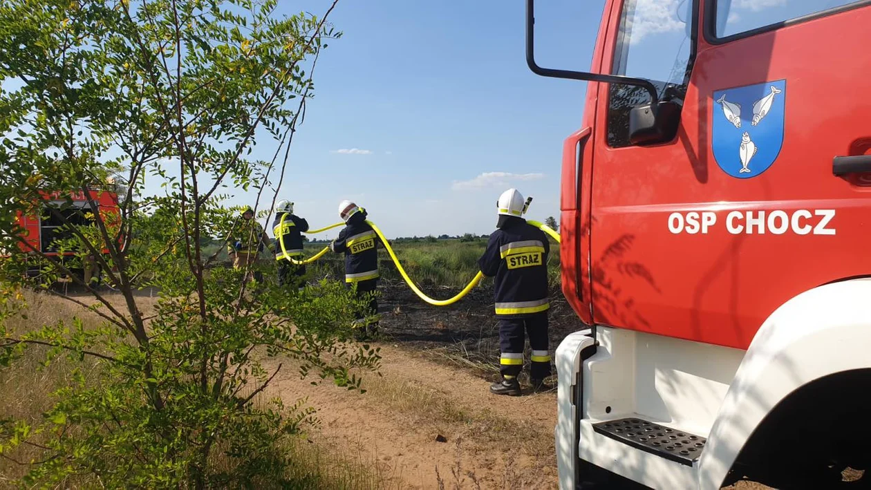 Pożar trawy w Kuźni