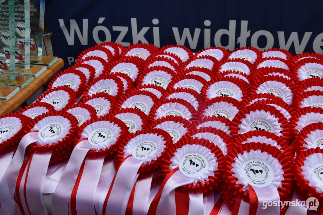 Jubileuszowa, bo XV Regionalna Wystawa Zwierząt Hodowlanych w Pudliszkach