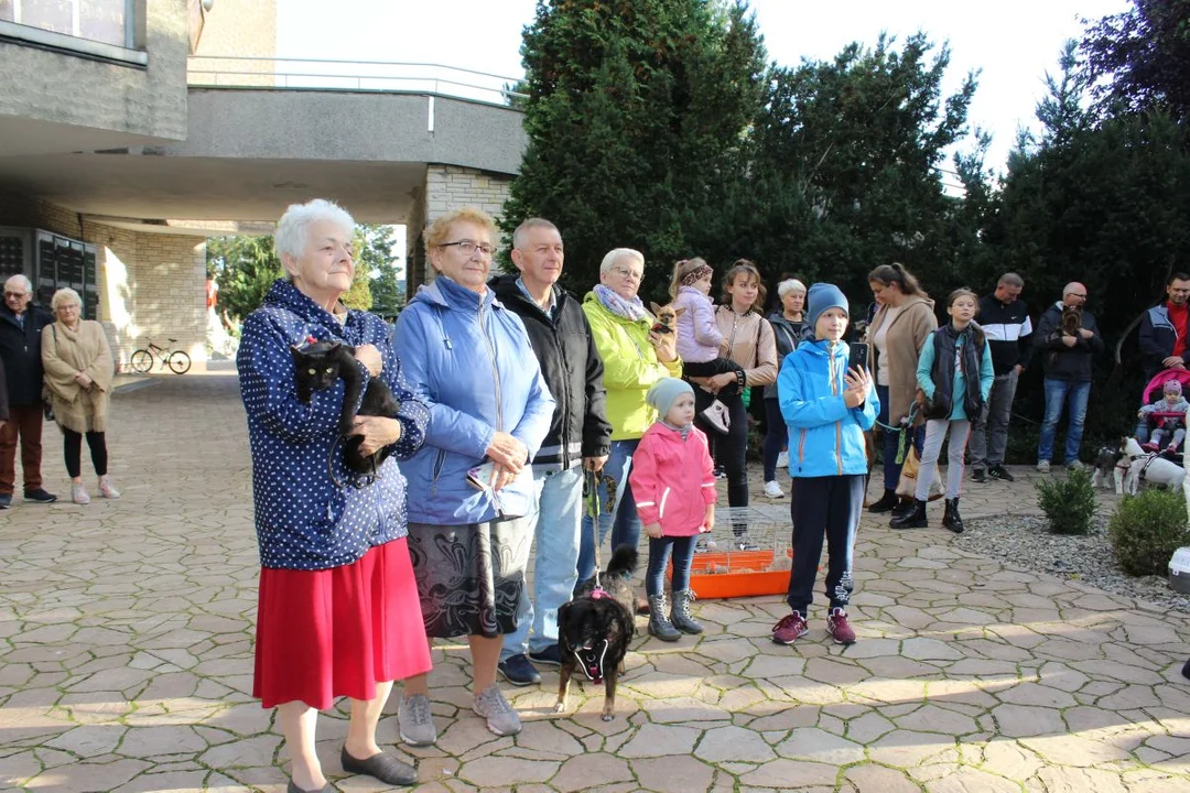 Franciszkanie w Jarocinie. Odpust św. Franciszka z Asyżu