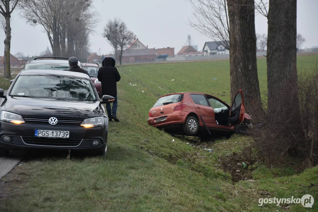 Wypadek samochodowy na drodze Strzelce Wielkie - Lipia (droga Piaski - Pogorzela)
