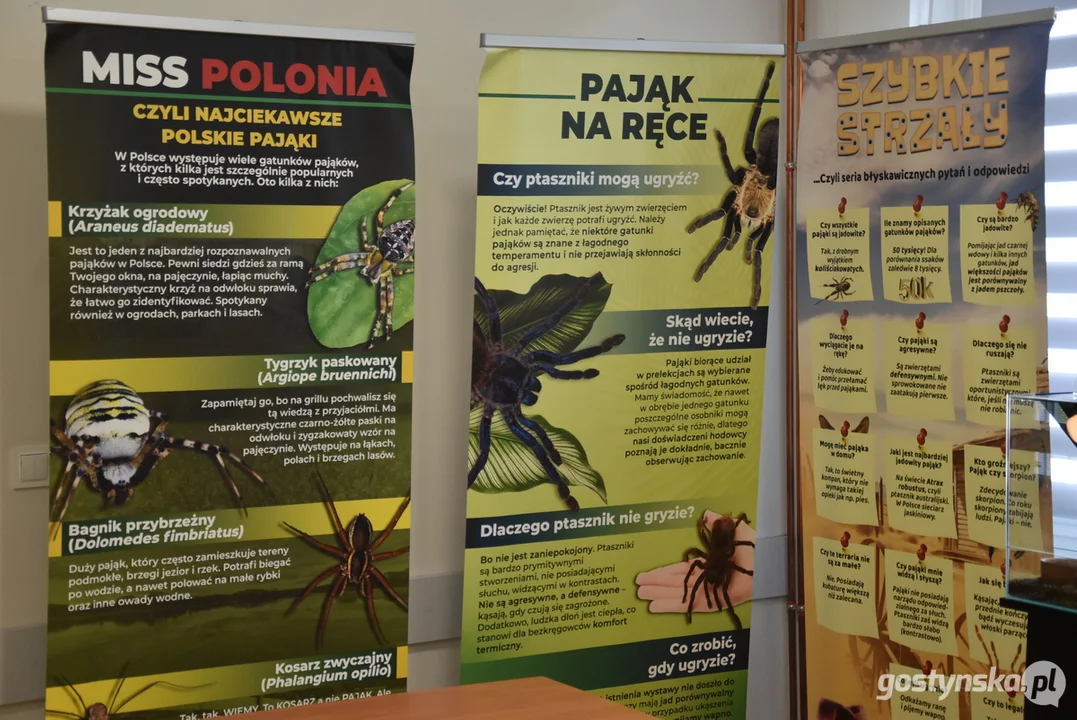 Wystawa pająków w Piaskach 2025