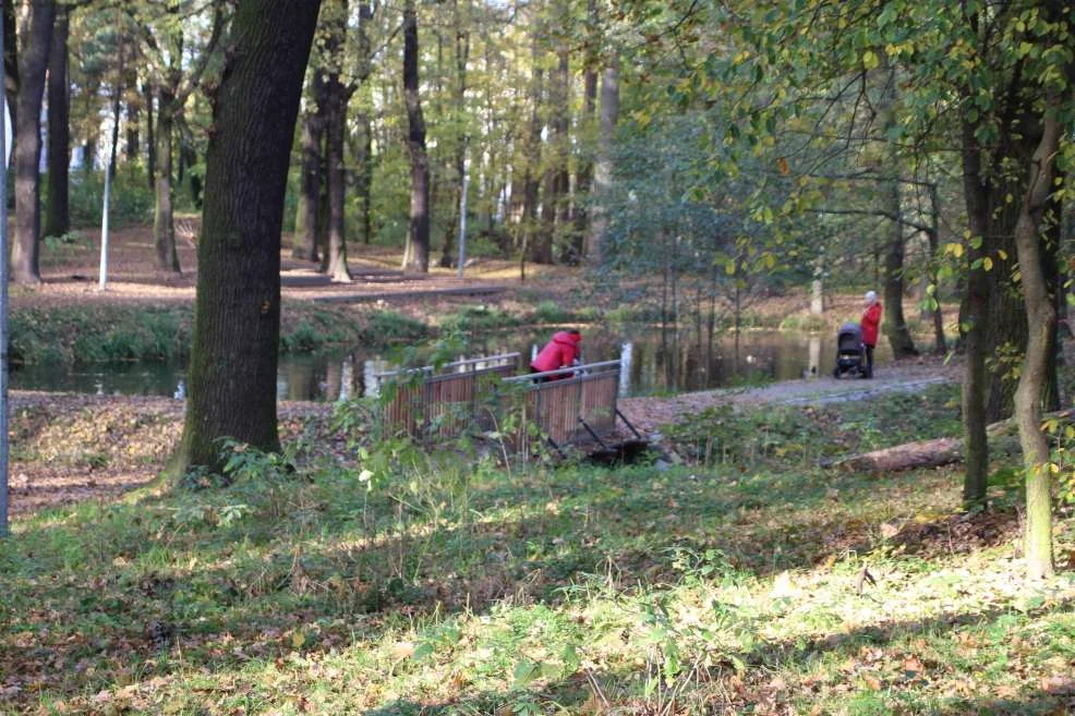 Lasek Szubianki w Jarocinie wyrózniony w konkursie Towarzystwa Urbanistów Polskich