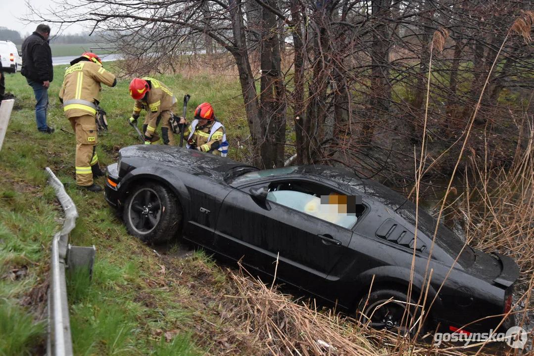 Mustang wpadł do stawu. Straż pożarna z Gostynia w akcji