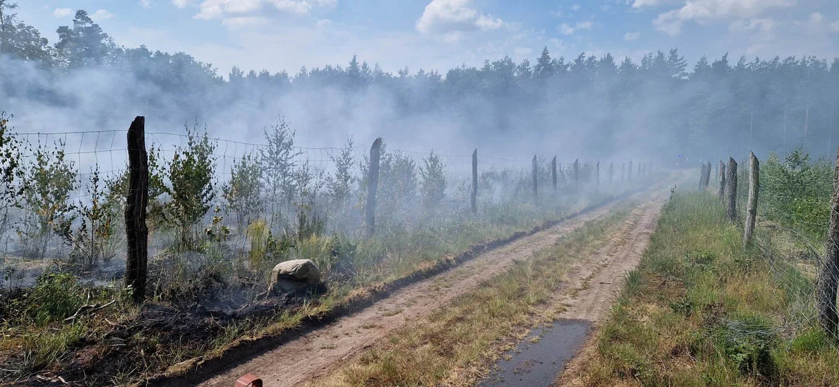 Pożar lasu na granicy powiatu gostyńskiego