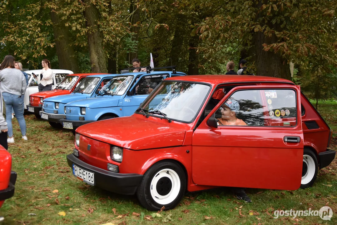 Zlot samochodów retro w Zamku Wielkopolskim w Rokosowie