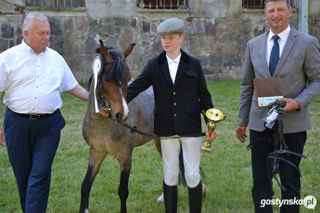 Rokosowo Horse Show 20224 - Konie i Powozy na Zamku Wielkopolskim w Rokosowie