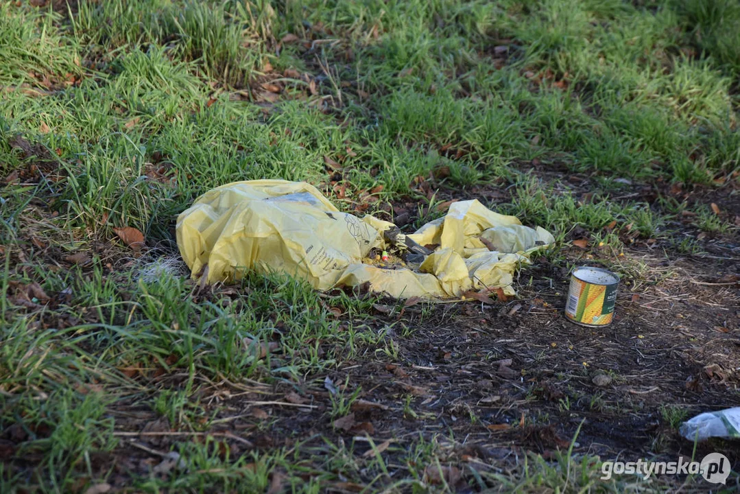 Gmina Gostyń po tzw. wspólnocie wsi Daleszyn przejęła las, grunty rolne i nieużytki, a także budynek mieszkalny