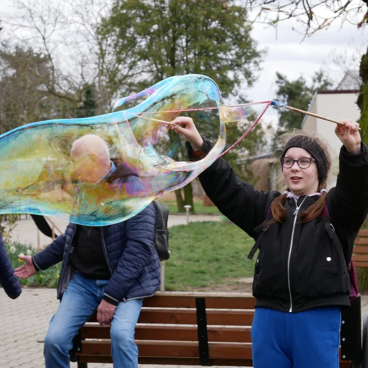 Zajączek w Kobylinie