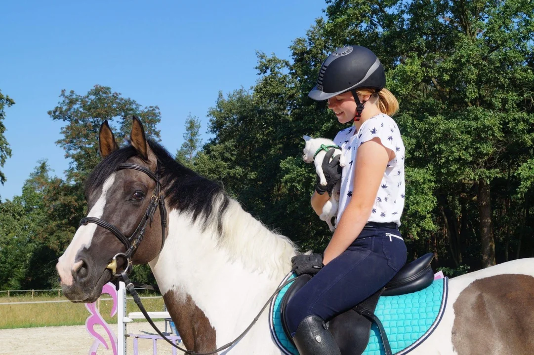 Wiktoria Andrzejewska z Krobia wygrała Cavaliadę Poznań 2018