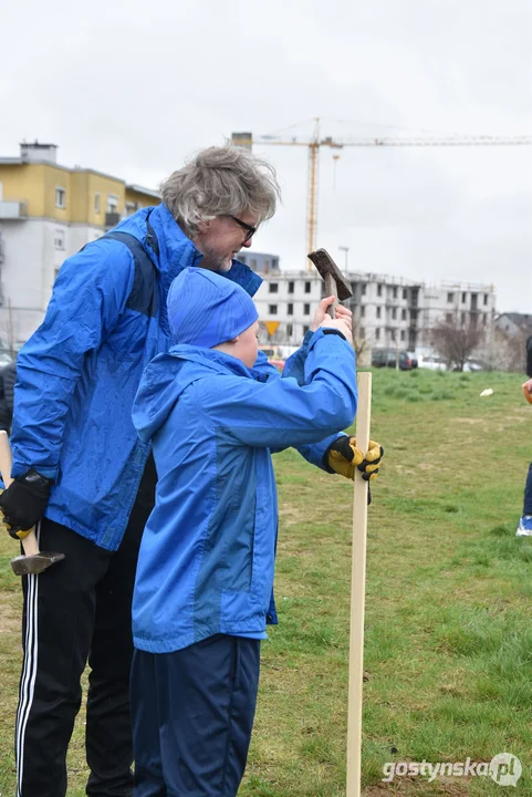 Sadzenie drzewek na 100-lecie Kani Gostyń