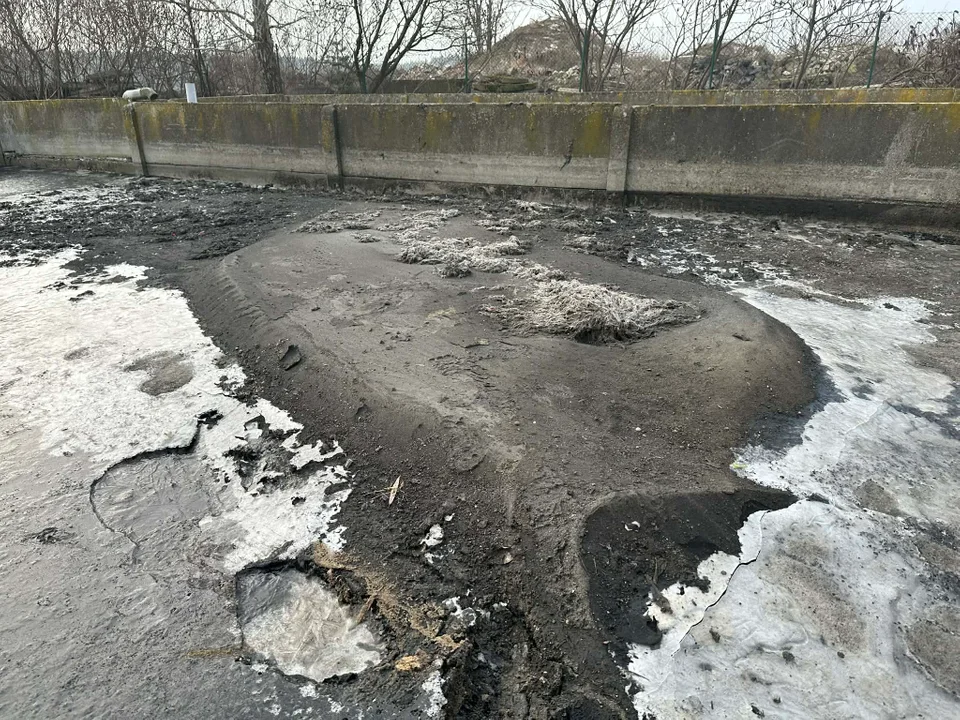 Piesek i elementy z chusteczek nawilżanych wyciągnięte z reaktora głównego oczyszczalni