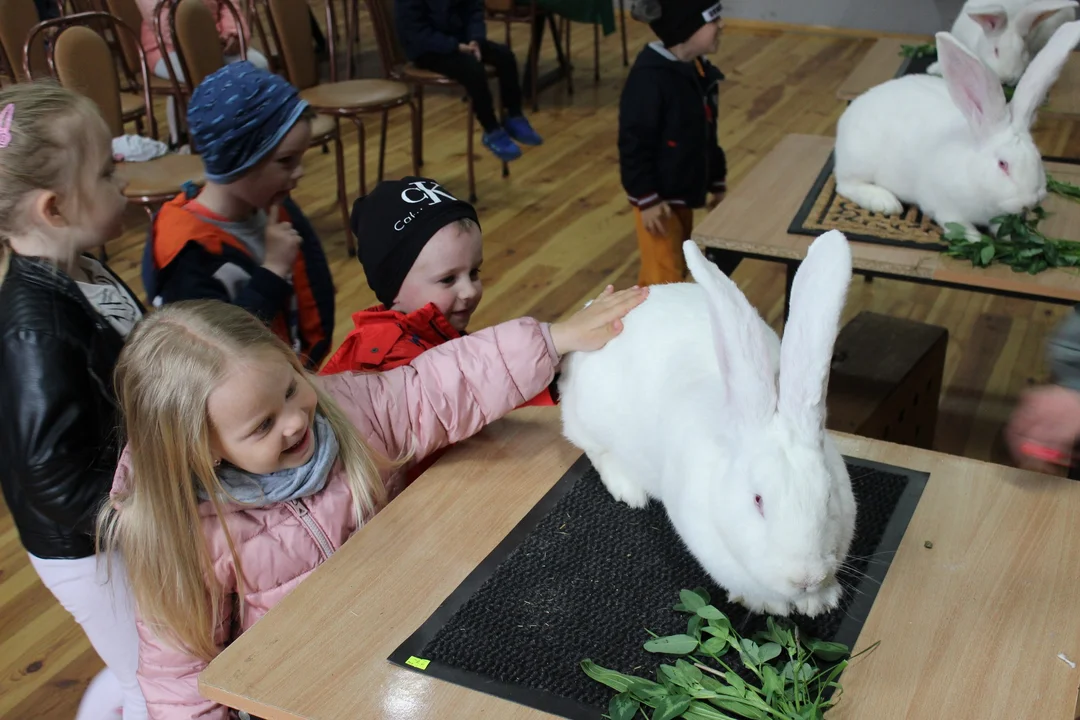 Żywa lekcja biologii w Gminnym Ośrodku Kultury w Choczu [ZDJĘCIA] - Zdjęcie główne