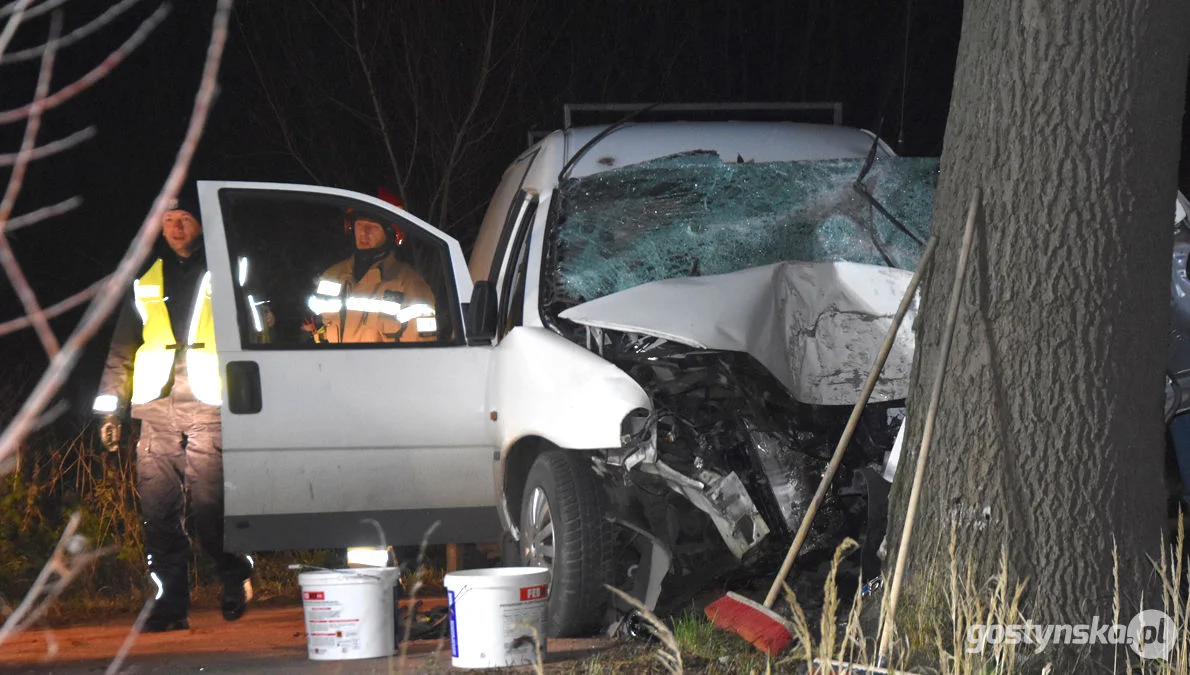 Czołówka z drzewem. Wypadek w Grodzisku (gm. Poniec)