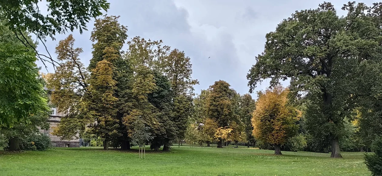 Park w Klęce to prawdziwa perełka. Warto zajrzeć tam właśnie teraz