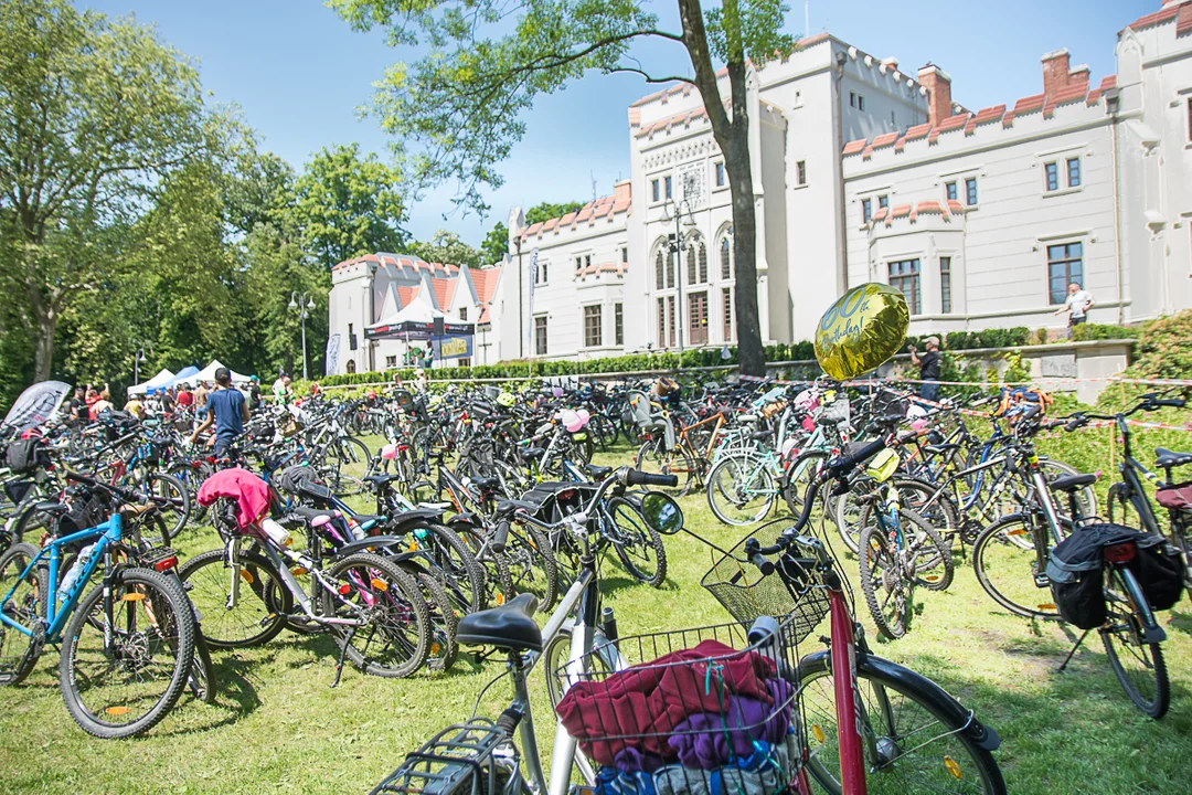 Rewitalizacja parków miejskich miasta Jarocin