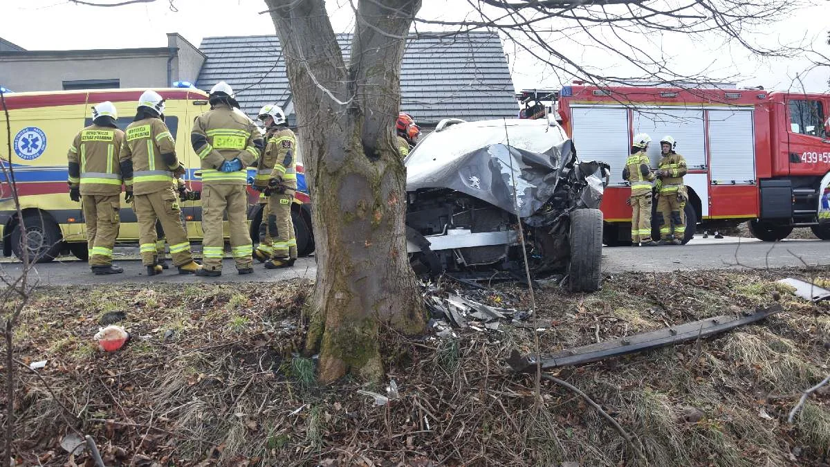 57-latek uderzył autem w drzewo. Kierowca miał gigantyczne szczęście - Zdjęcie główne