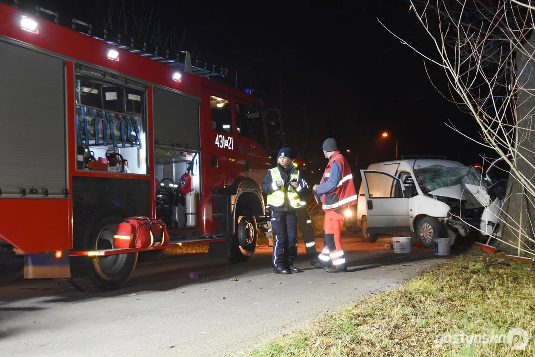 Czołówka z drzewem. Wypadek w Grodzisku (gm. Poniec)