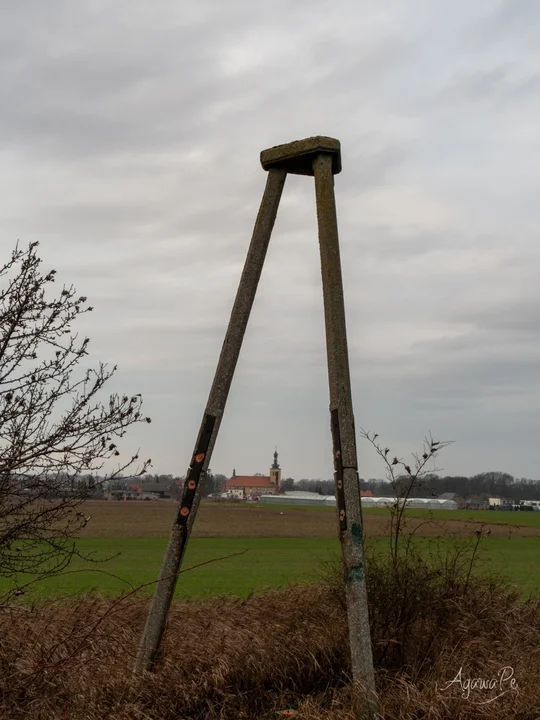 PTTK Pleszew - wejście na Gołębią Górę