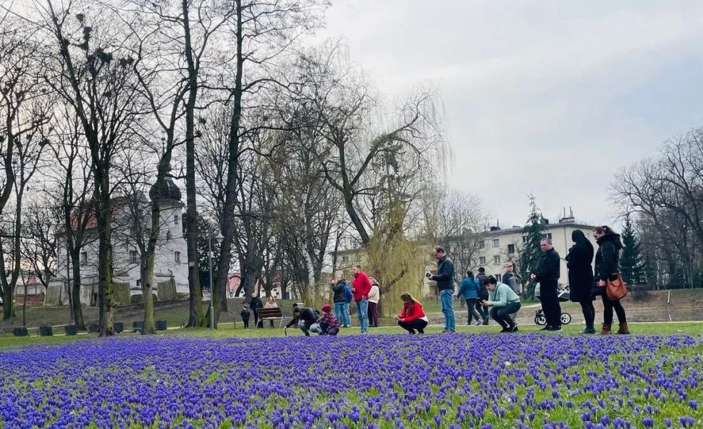 Tłumy w Parku Radlińskich w Jarocinie