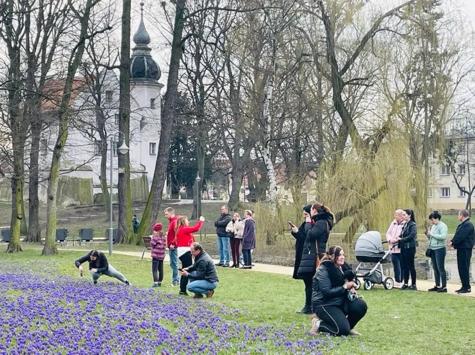 Tłumy w Parku Radlińskich w Jarocinie