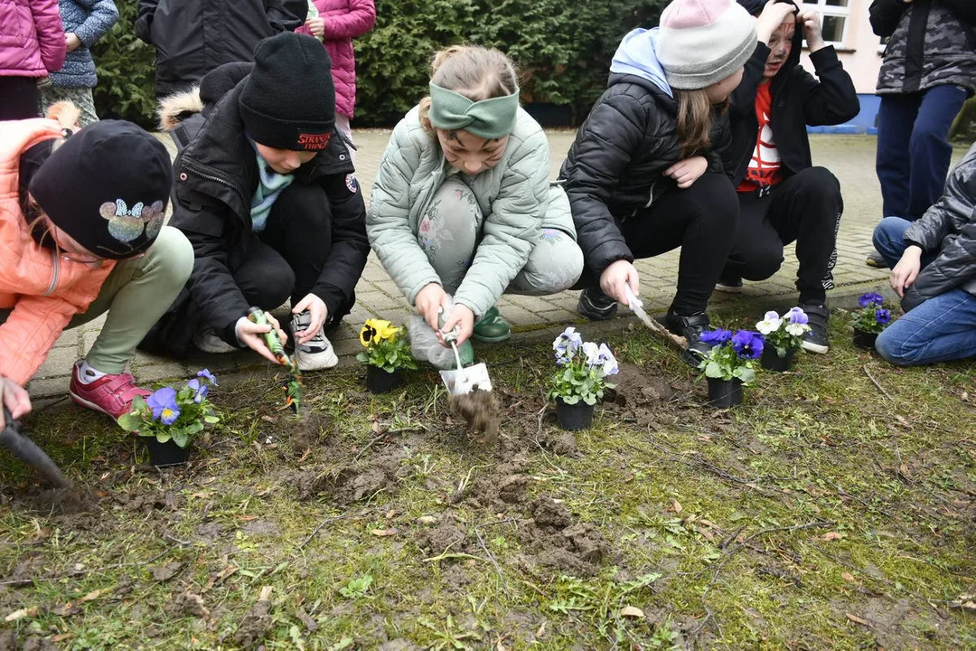 Dzień Wiosny w Szkole Podstawowej nr 3 w Gostyniu