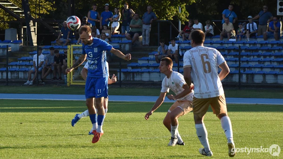 Kania Gostyń - Wisła Borek Wielkopolski 3 : 0