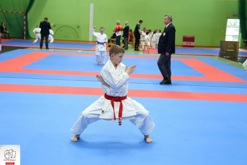 Kobylin. Turniej Karate o Puchar Burmistrza