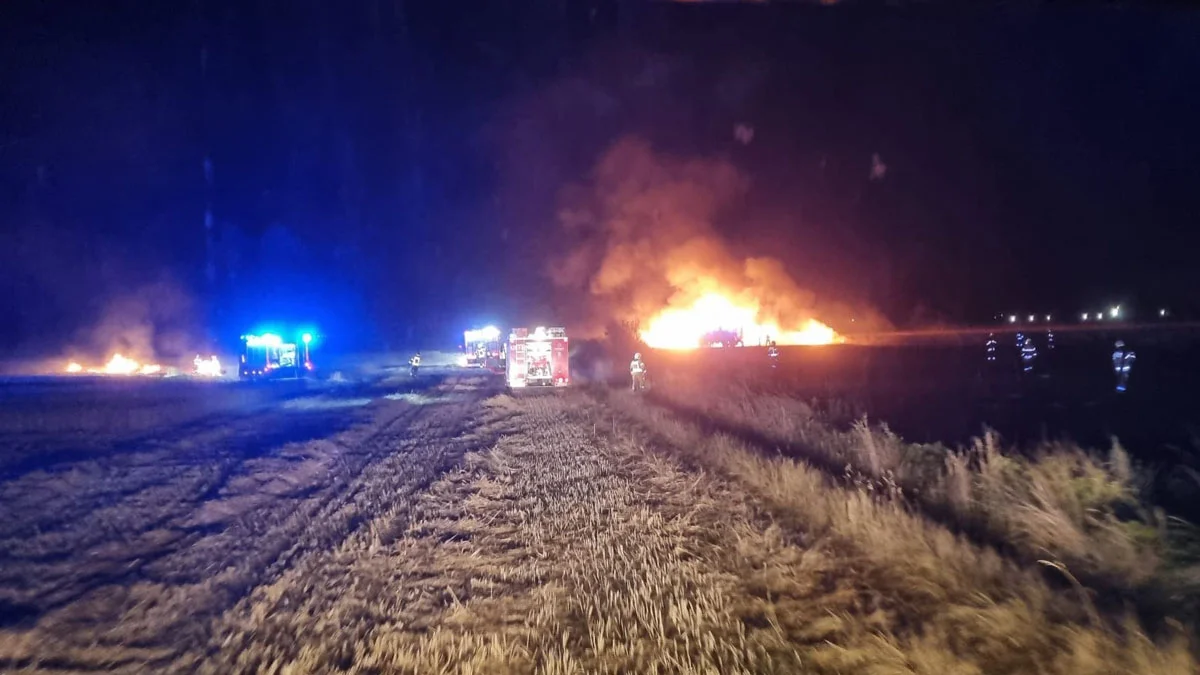 "Najtrudniejszy jest ogień w nocy". Płoną zboża, ścierniska i maszyny rolnicze w powiecie gostyńskim - Zdjęcie główne