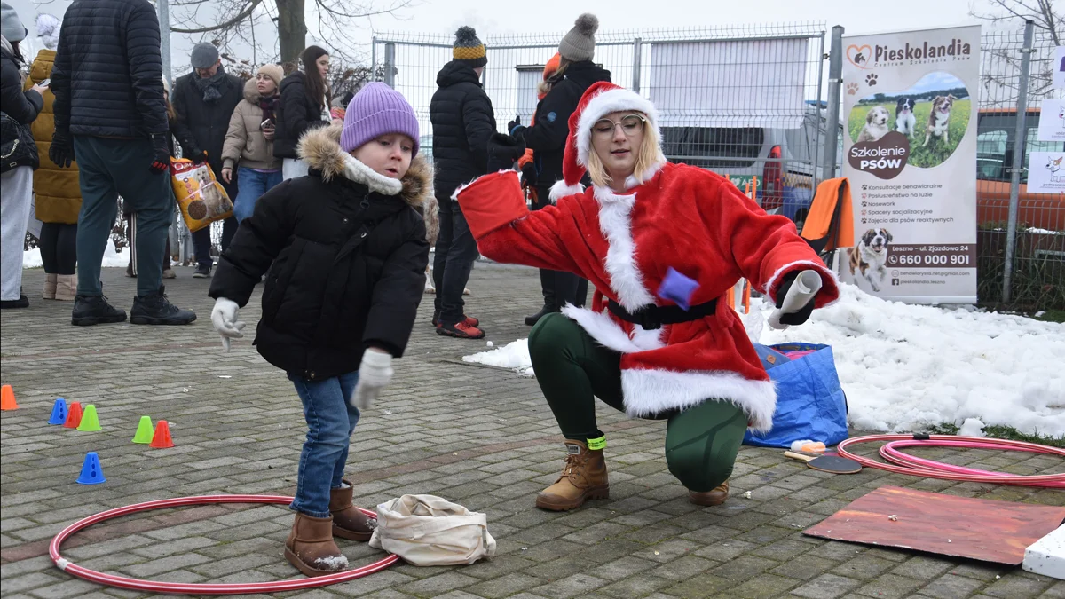 Mikołajkowe Drzwi Otwarte 2025 w Schronisku dla Zwierząt w Dalabuszkach (gm. Gostyń)