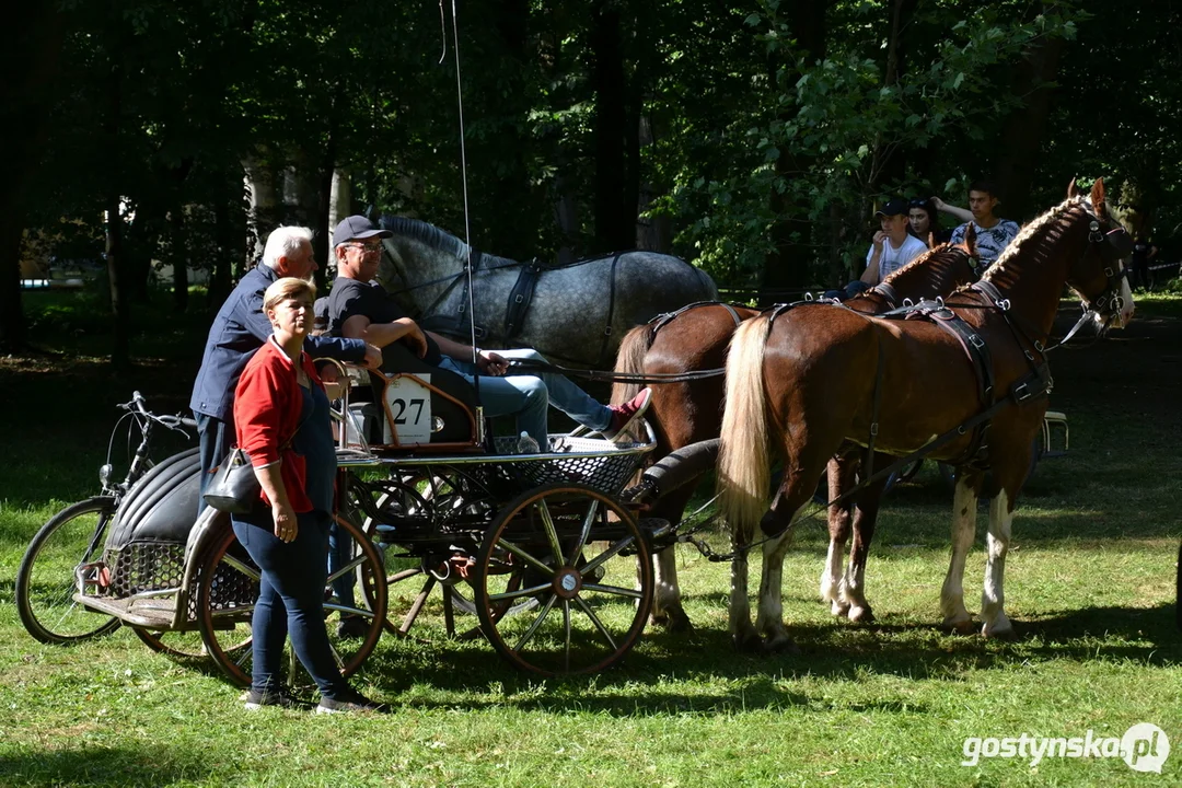 Rokosowo Horse Show 20224 - Konie i Powozy na Zamku Wielkopolskim w Rokosowie