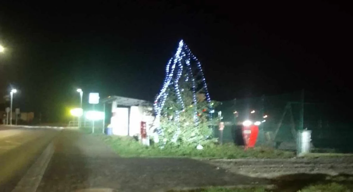 Takiej choinki nie ma w żadnej miejscowości. Niezwykły pomysł sołtysa Krzywosądowa