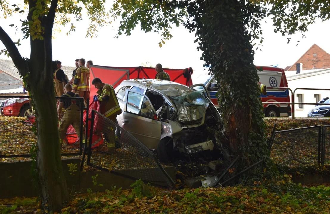 Śmiertelny wypadek w Gębicach (gm. Pępowo). Samochód zdemolował płot i uderzył w drzewo. Co było przyczyną tragedii? - Zdjęcie główne