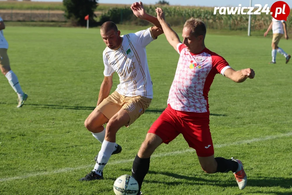 Awdaniec Pakosław - Wisła Borek Wielkopolski 2:5