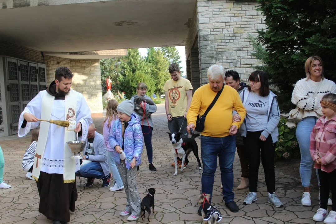 U franciszkanów w Jarocinie z okazji odpustu błogosławiono zwierzęta