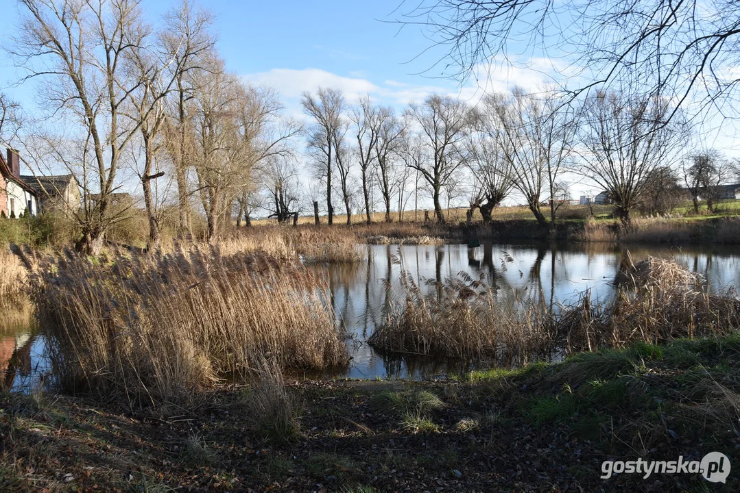 Gmina Gostyń planuje renowację stawów