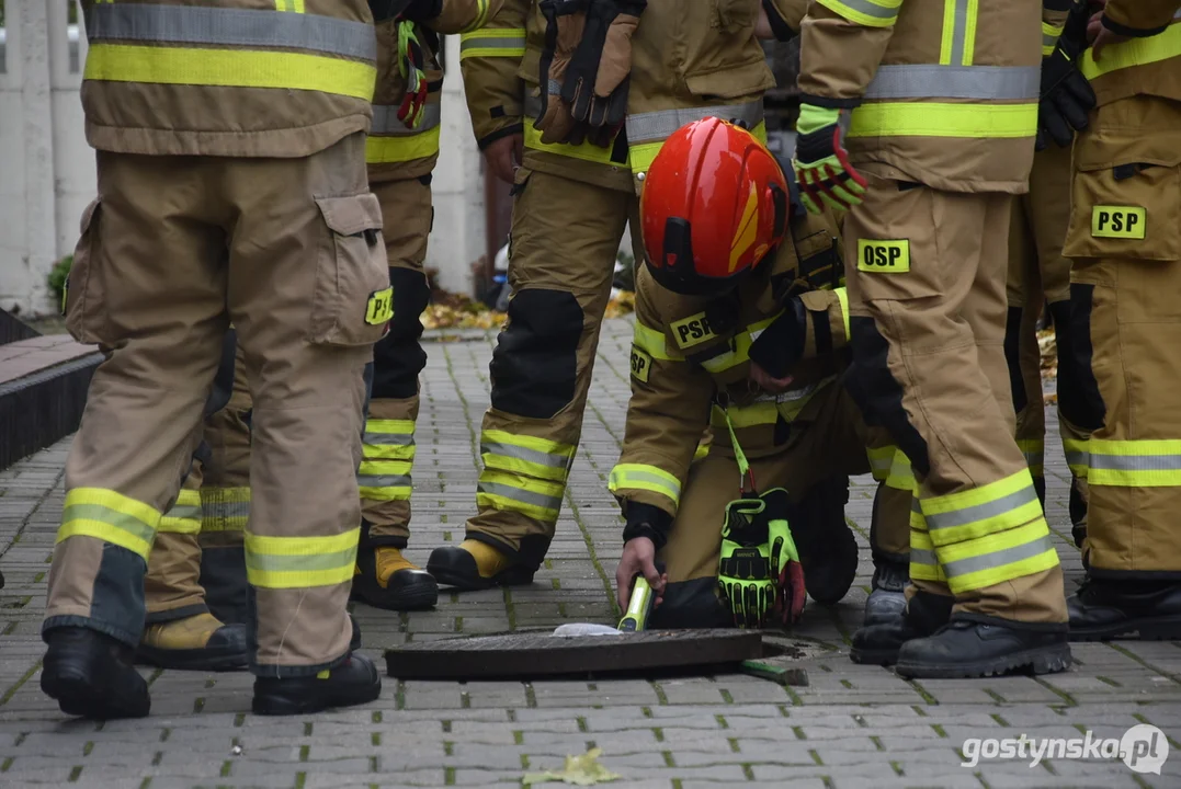 Interwencja JRG Gostyń i OSP Pępowo w związku z "wyciekiem" gazu