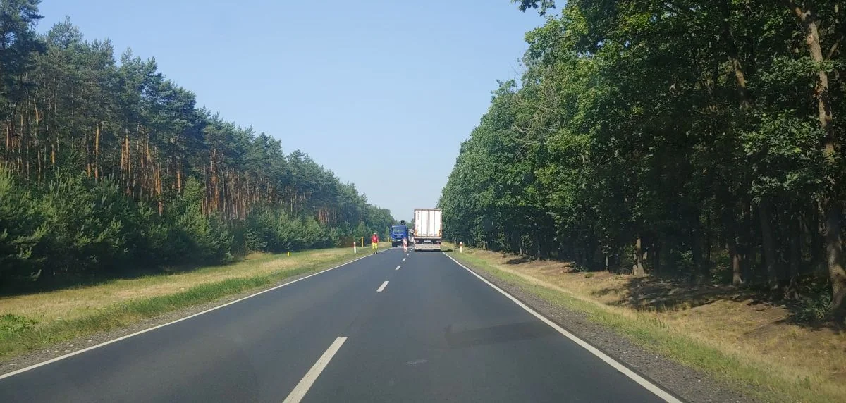 Remont na odcinku DK12. Sprawdź, gdzie ruch może być utrudniony - Zdjęcie główne