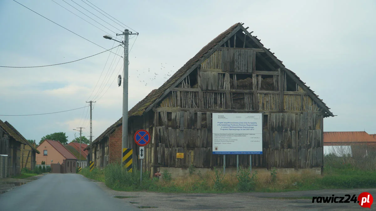 polecany artykuł