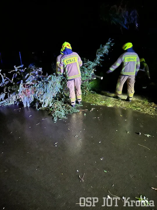 Porywisty wiatr narobił szkód w powiecie gostyńskim.