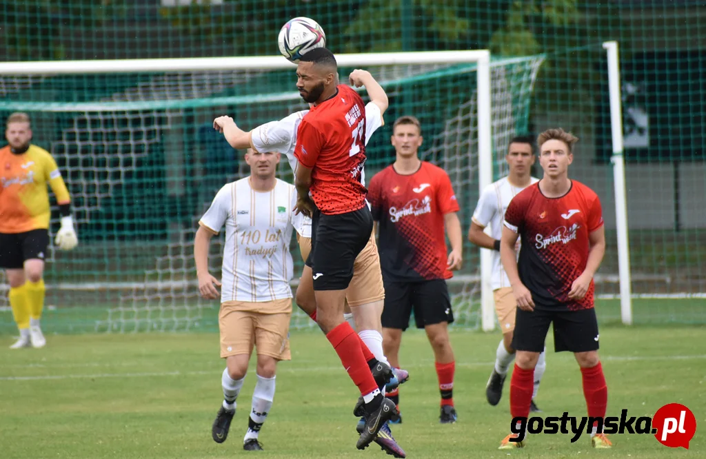 Wisła Borek Wielkopolski - Lider Swarzędz 2 : 0