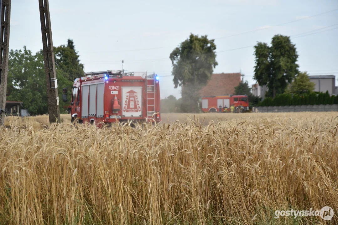 Pożar zboża w Poniecu i Kuczynie