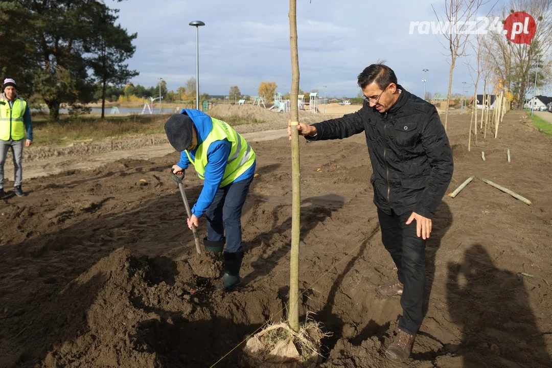 Nowe nasadzenia na poligonie